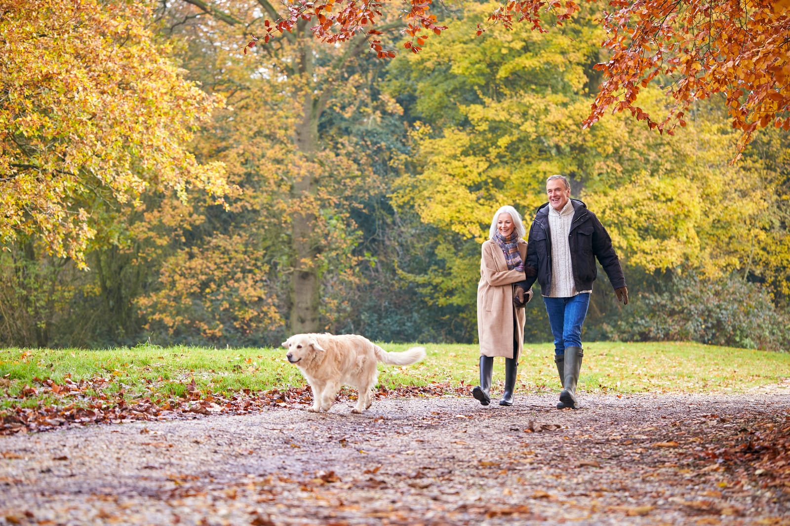 Senior Couple Walking Dog Autumn