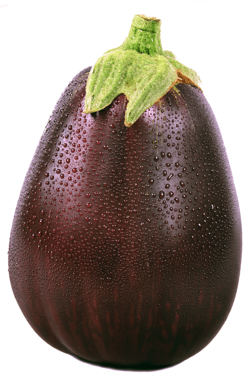 Eggplant