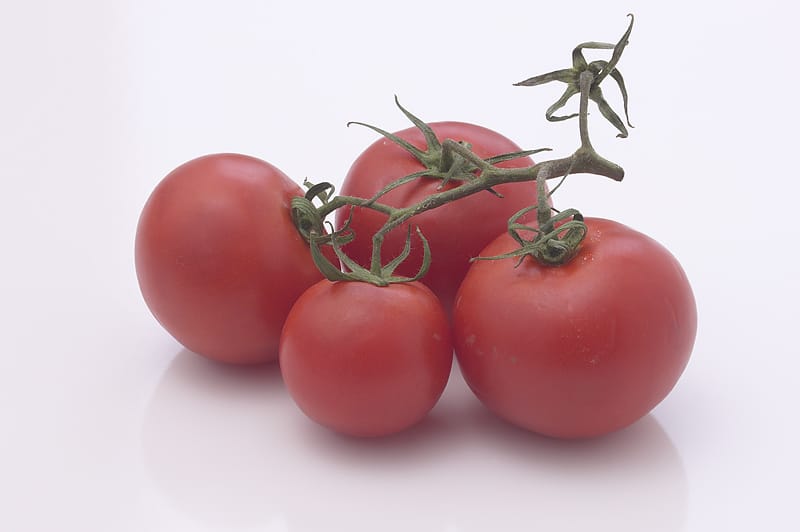 Red Tomatoes Vine White Background
