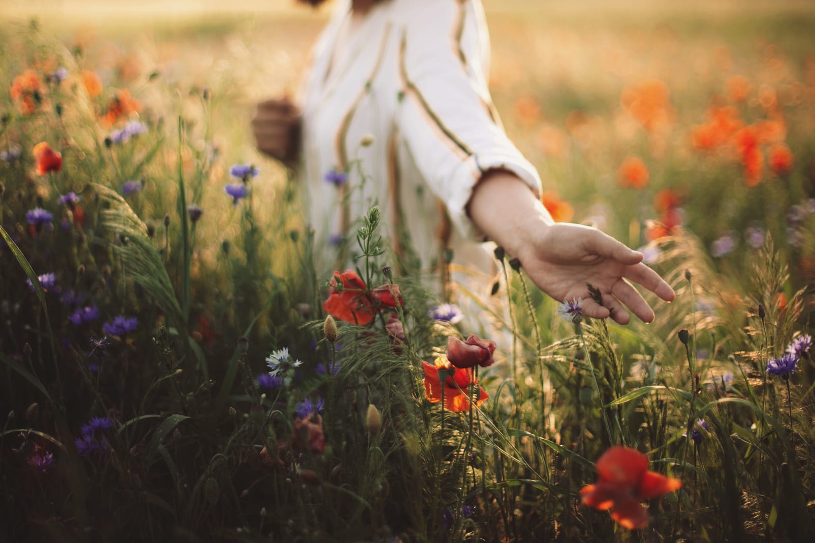 Woman Touching Wildflowers Meadow Sunset